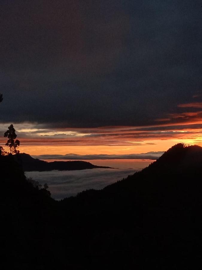 Forest Cyniciam Homestay Ohiya Eksteriør bilde