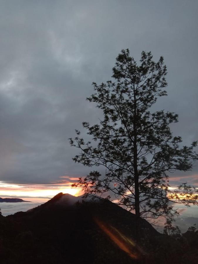 Forest Cyniciam Homestay Ohiya Eksteriør bilde