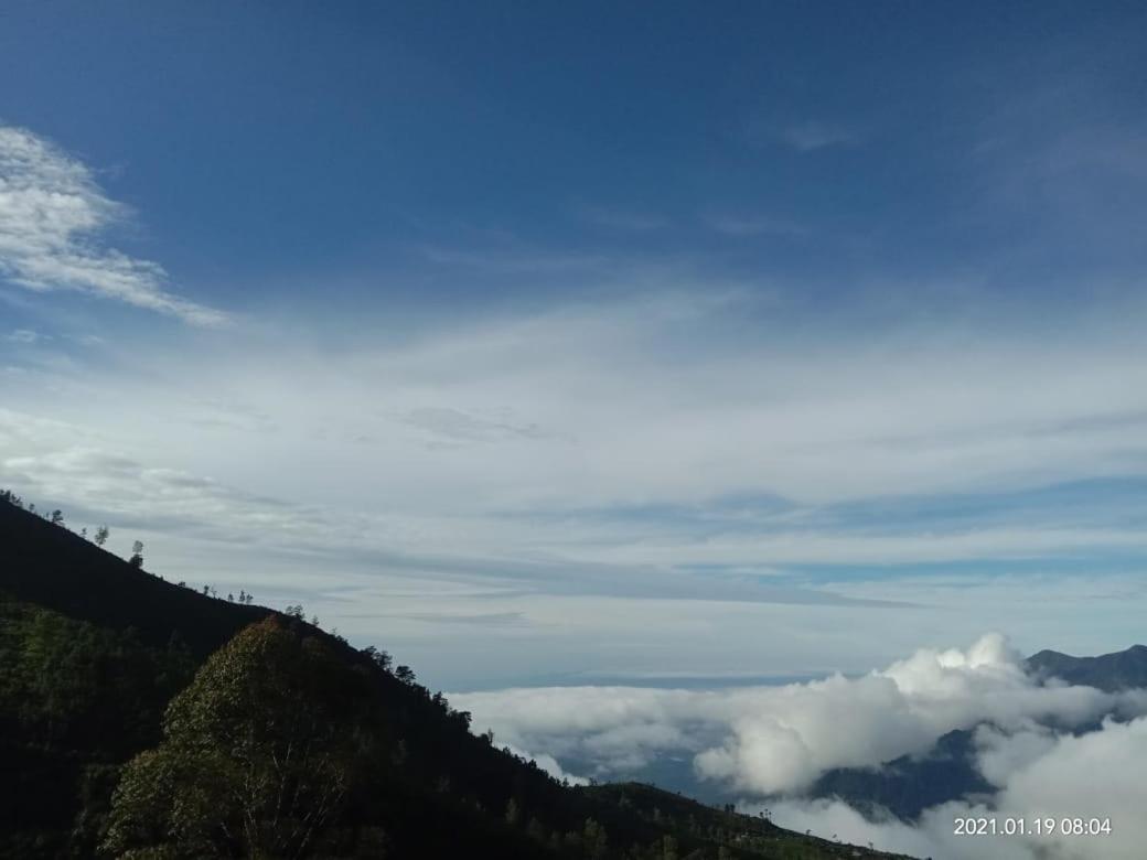 Forest Cyniciam Homestay Ohiya Eksteriør bilde