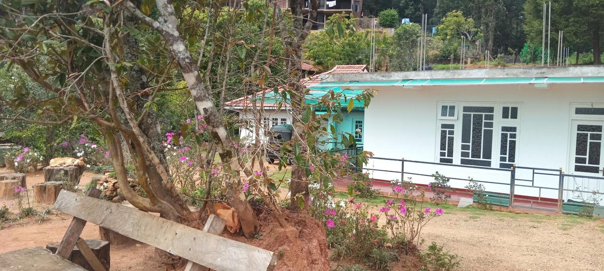 Forest Cyniciam Homestay Ohiya Eksteriør bilde