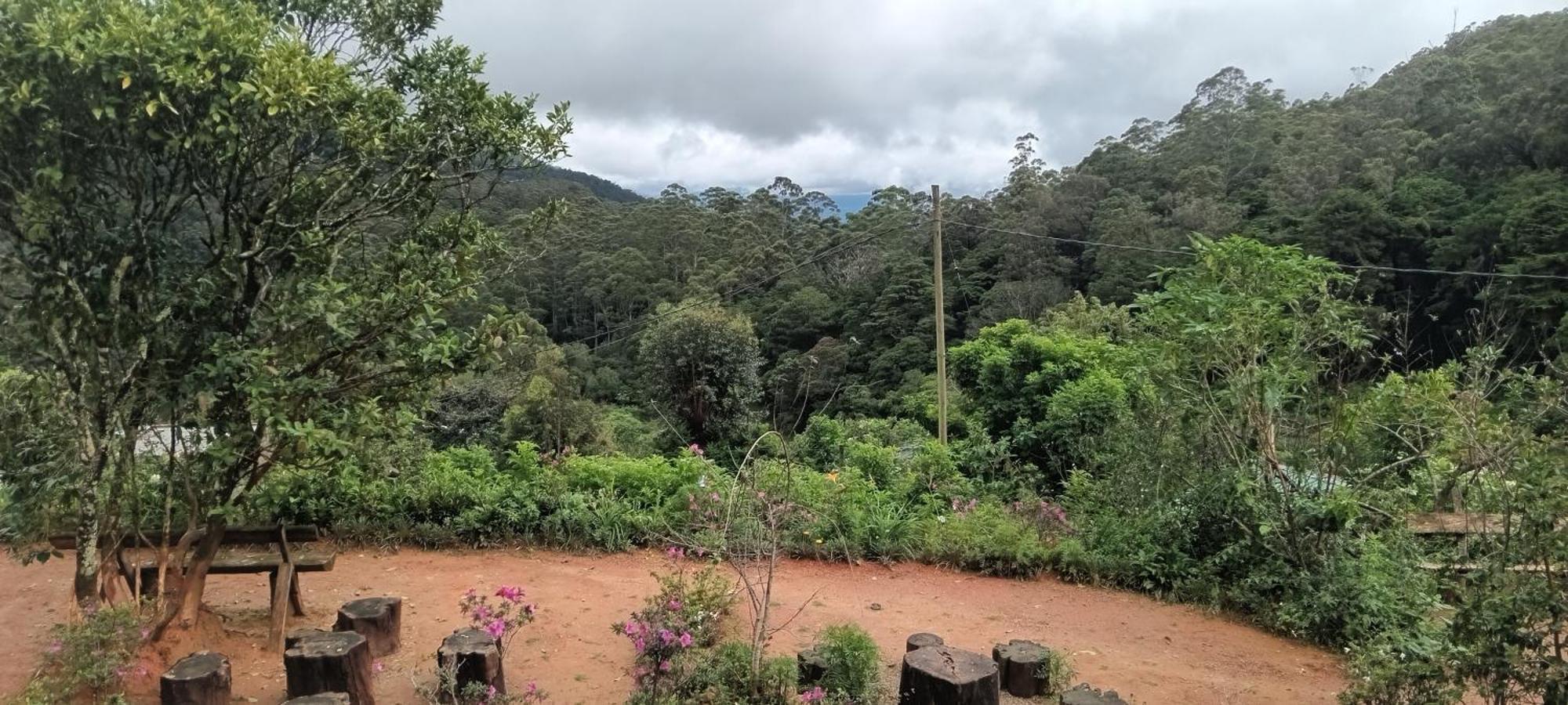 Forest Cyniciam Homestay Ohiya Rom bilde
