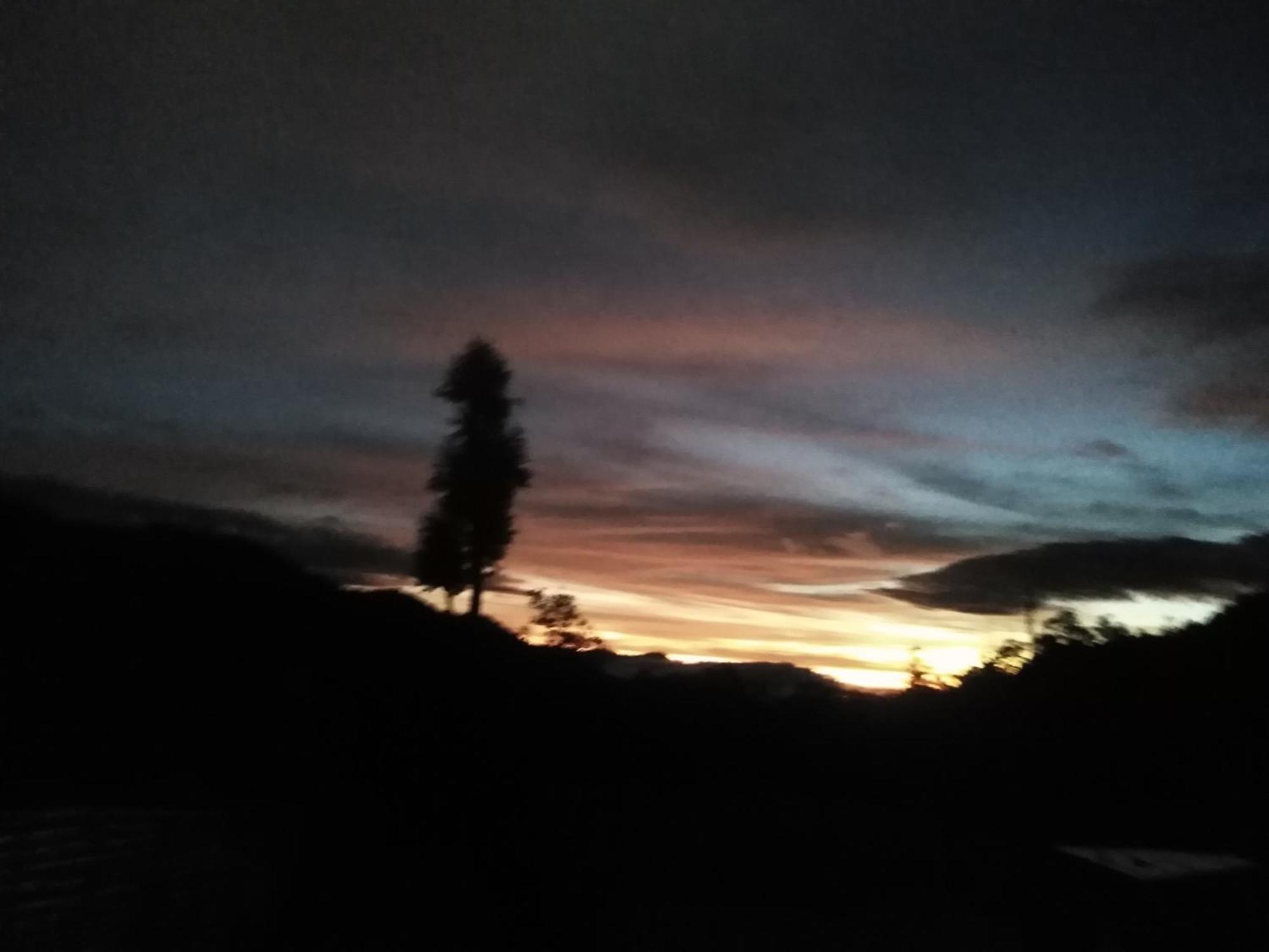 Forest Cyniciam Homestay Ohiya Rom bilde