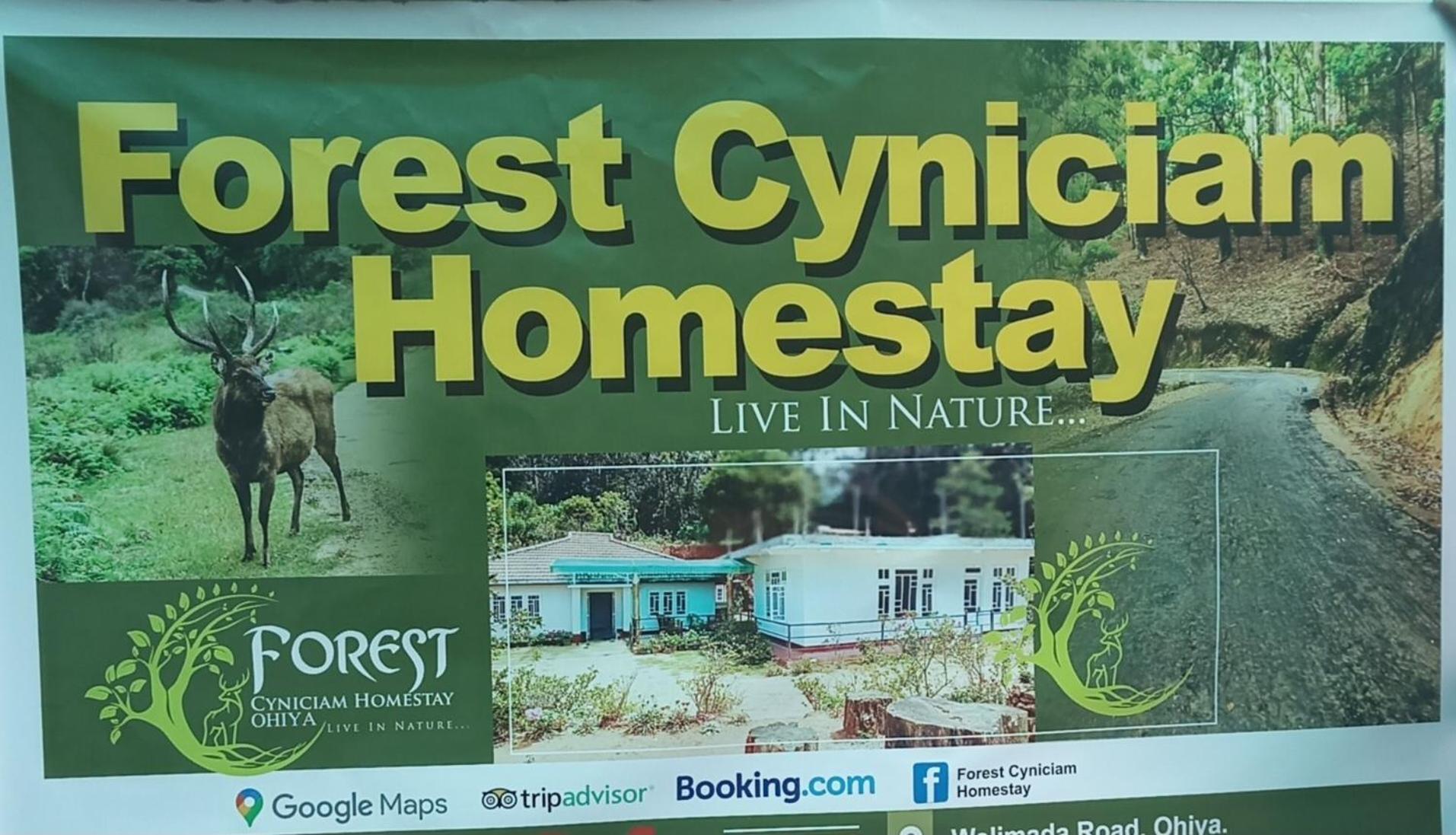 Forest Cyniciam Homestay Ohiya Eksteriør bilde