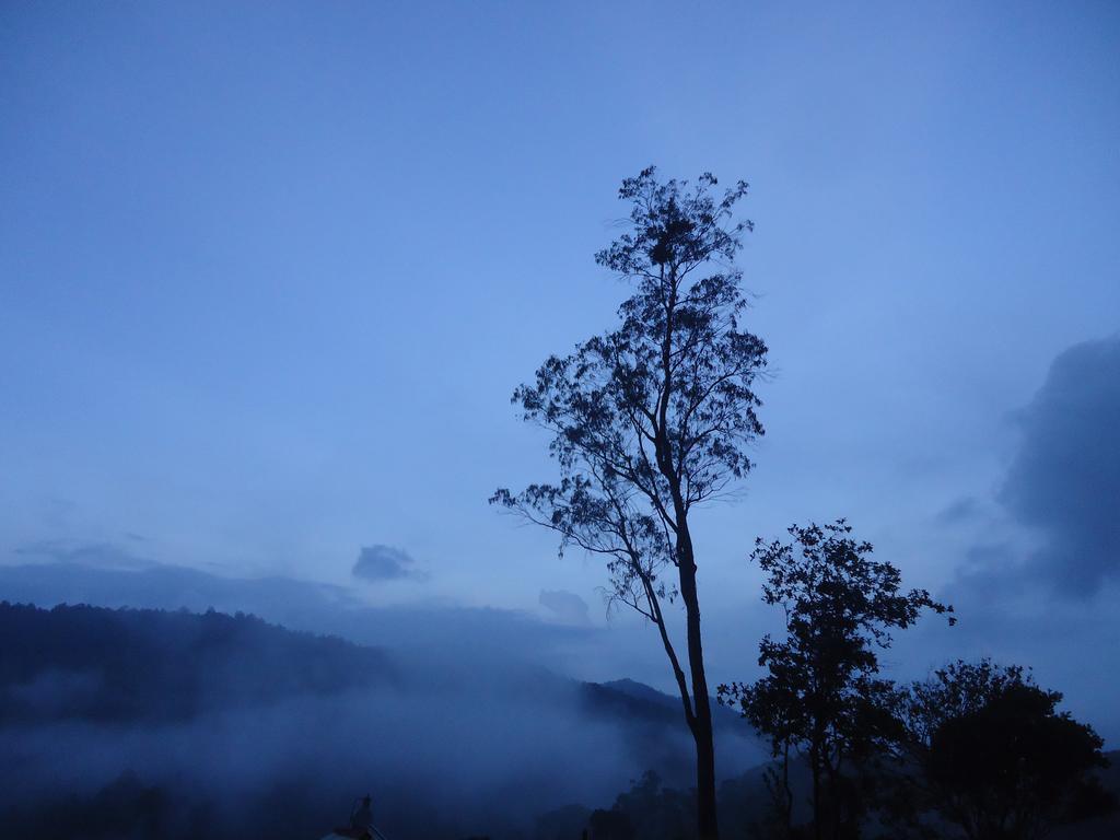 Forest Cyniciam Homestay Ohiya Eksteriør bilde
