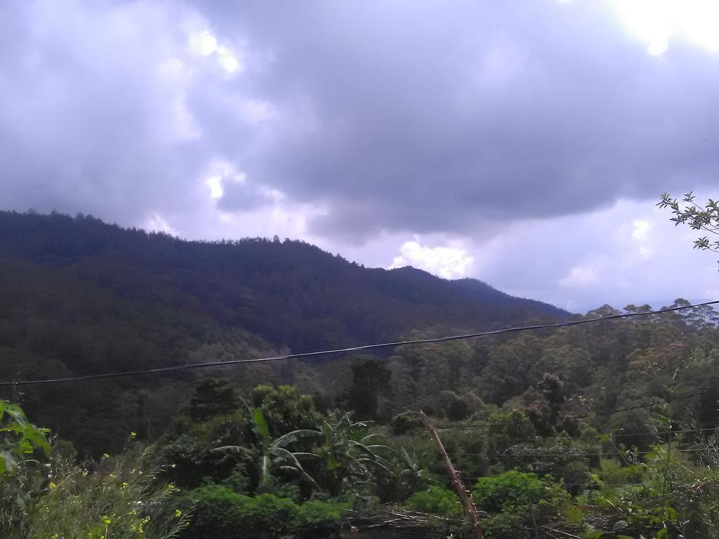 Forest Cyniciam Homestay Ohiya Eksteriør bilde