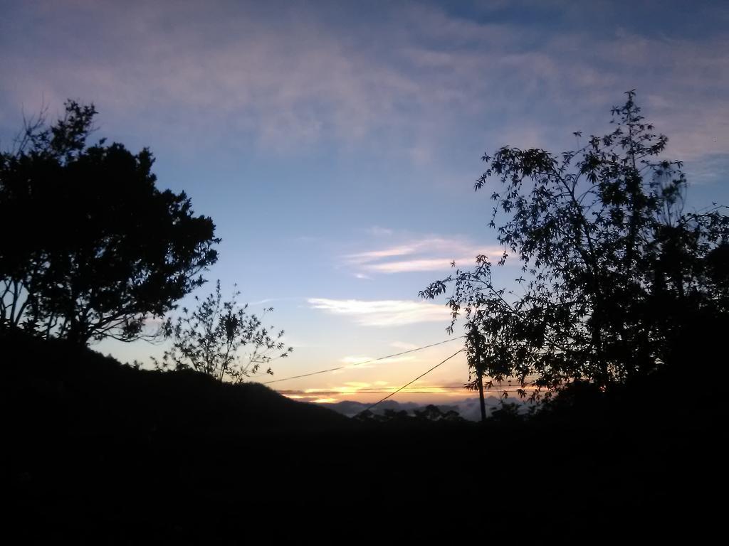 Forest Cyniciam Homestay Ohiya Eksteriør bilde