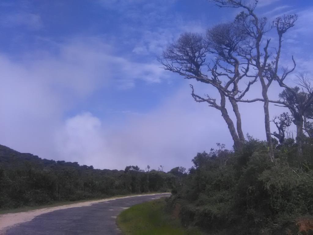 Forest Cyniciam Homestay Ohiya Eksteriør bilde