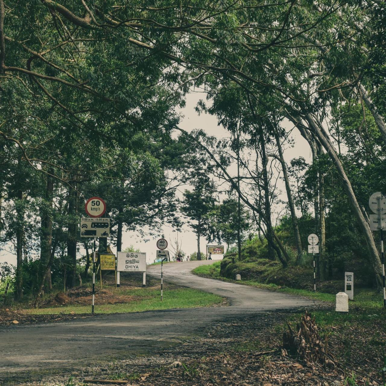Forest Cyniciam Homestay Ohiya Eksteriør bilde