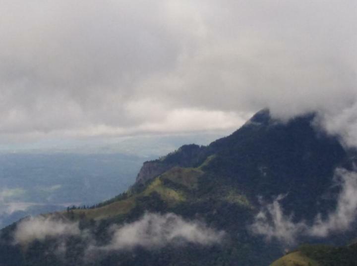 Forest Cyniciam Homestay Ohiya Eksteriør bilde