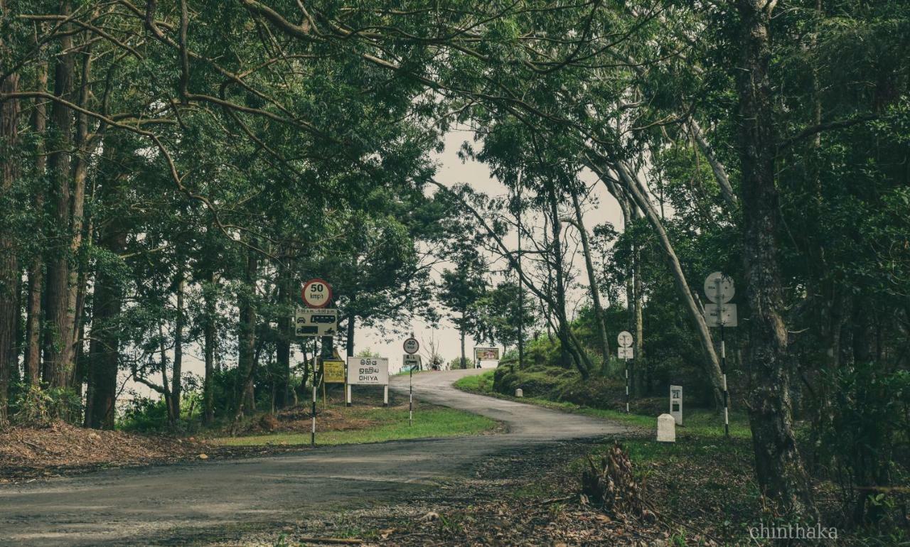 Forest Cyniciam Homestay Ohiya Eksteriør bilde