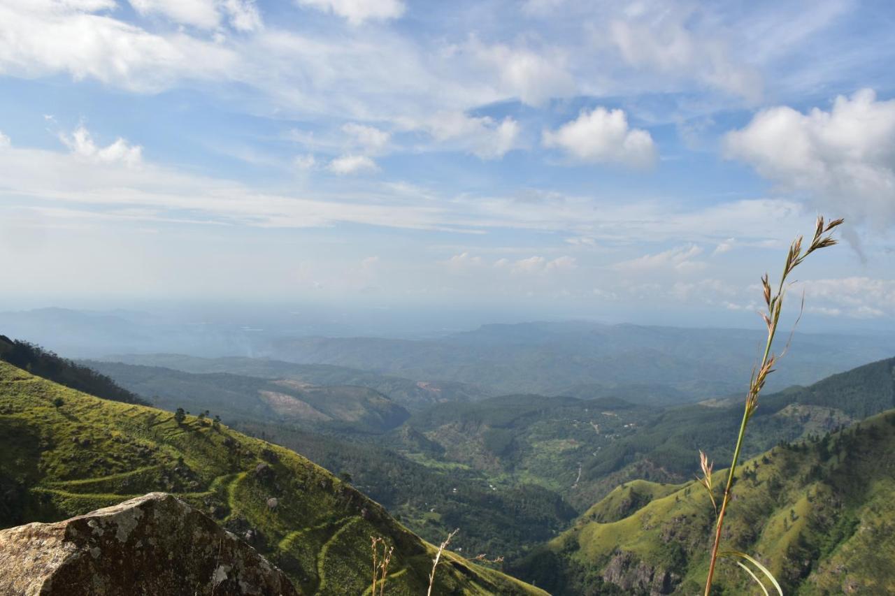 Forest Cyniciam Homestay Ohiya Eksteriør bilde
